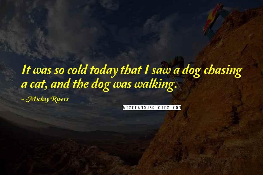 Mickey Rivers Quotes: It was so cold today that I saw a dog chasing a cat, and the dog was walking.