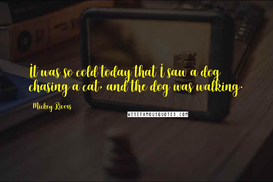 Mickey Rivers Quotes: It was so cold today that I saw a dog chasing a cat, and the dog was walking.