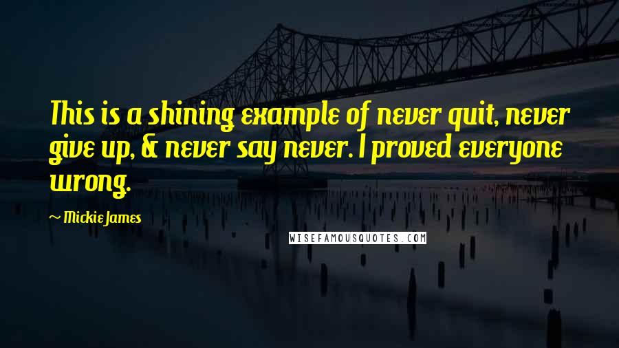 Mickie James Quotes: This is a shining example of never quit, never give up, & never say never. I proved everyone wrong.