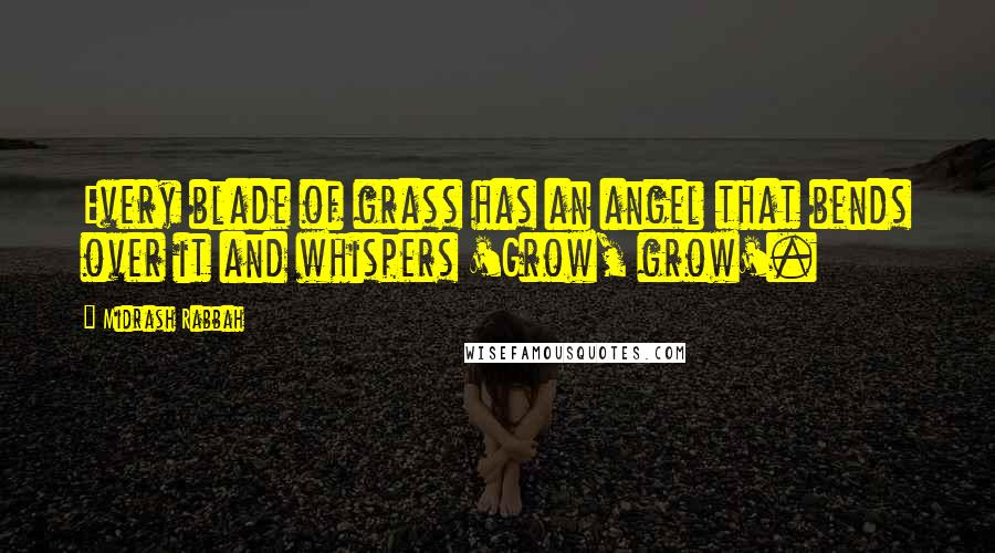 Midrash Rabbah Quotes: Every blade of grass has an angel that bends over it and whispers 'Grow, grow'.