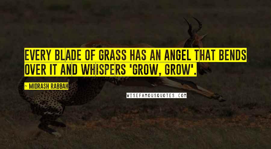 Midrash Rabbah Quotes: Every blade of grass has an angel that bends over it and whispers 'Grow, grow'.