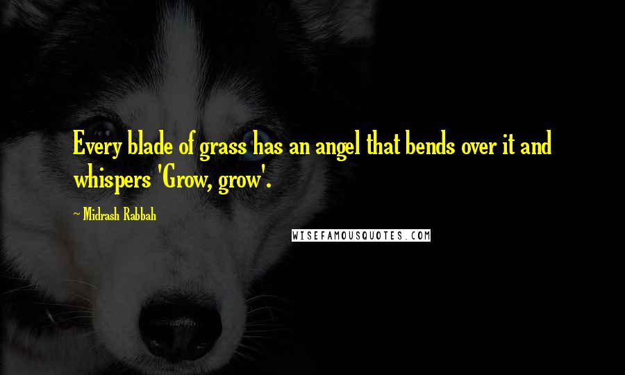 Midrash Rabbah Quotes: Every blade of grass has an angel that bends over it and whispers 'Grow, grow'.