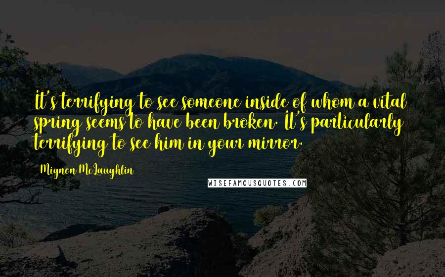 Mignon McLaughlin Quotes: It's terrifying to see someone inside of whom a vital spring seems to have been broken. It's particularly terrifying to see him in your mirror.