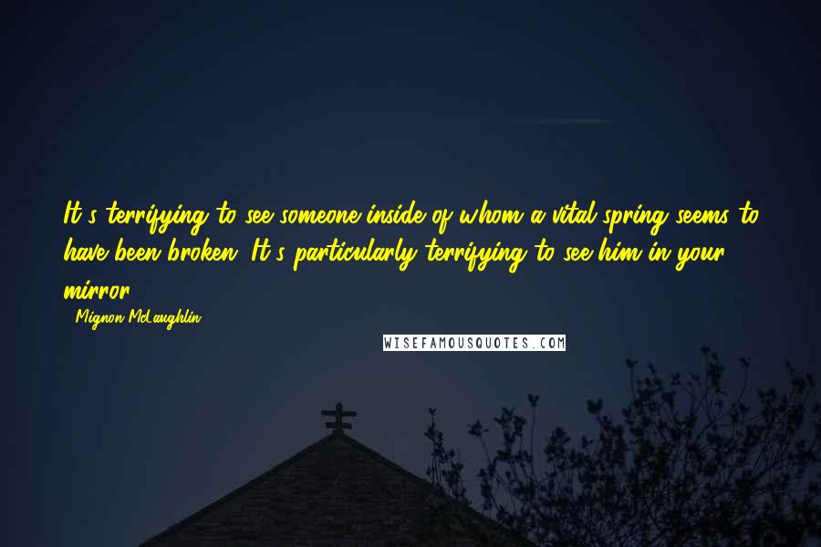 Mignon McLaughlin Quotes: It's terrifying to see someone inside of whom a vital spring seems to have been broken. It's particularly terrifying to see him in your mirror.