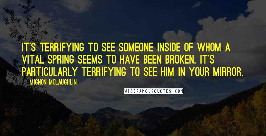 Mignon McLaughlin Quotes: It's terrifying to see someone inside of whom a vital spring seems to have been broken. It's particularly terrifying to see him in your mirror.