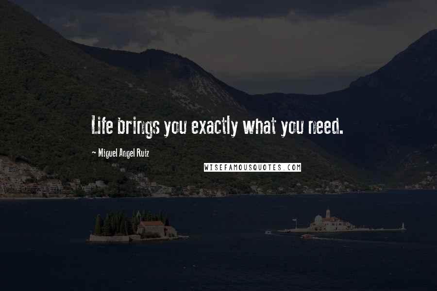 Miguel Angel Ruiz Quotes: Life brings you exactly what you need.