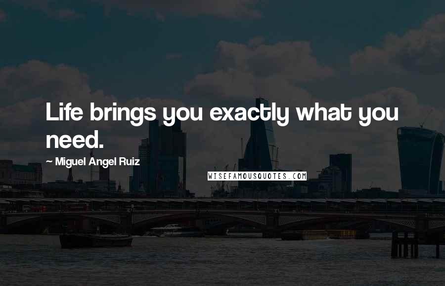 Miguel Angel Ruiz Quotes: Life brings you exactly what you need.