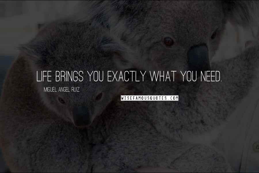 Miguel Angel Ruiz Quotes: Life brings you exactly what you need.