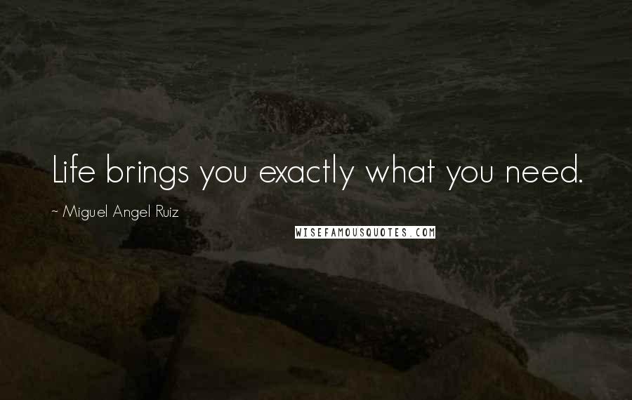 Miguel Angel Ruiz Quotes: Life brings you exactly what you need.