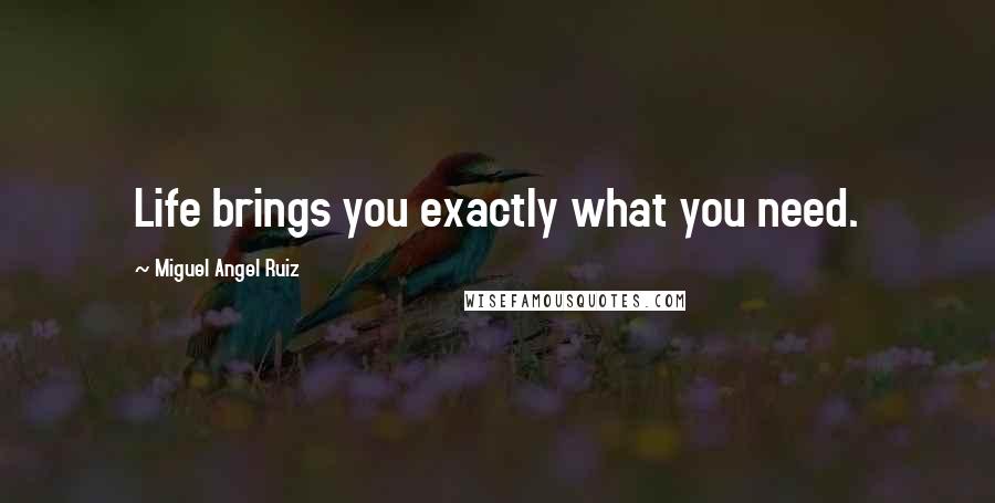 Miguel Angel Ruiz Quotes: Life brings you exactly what you need.