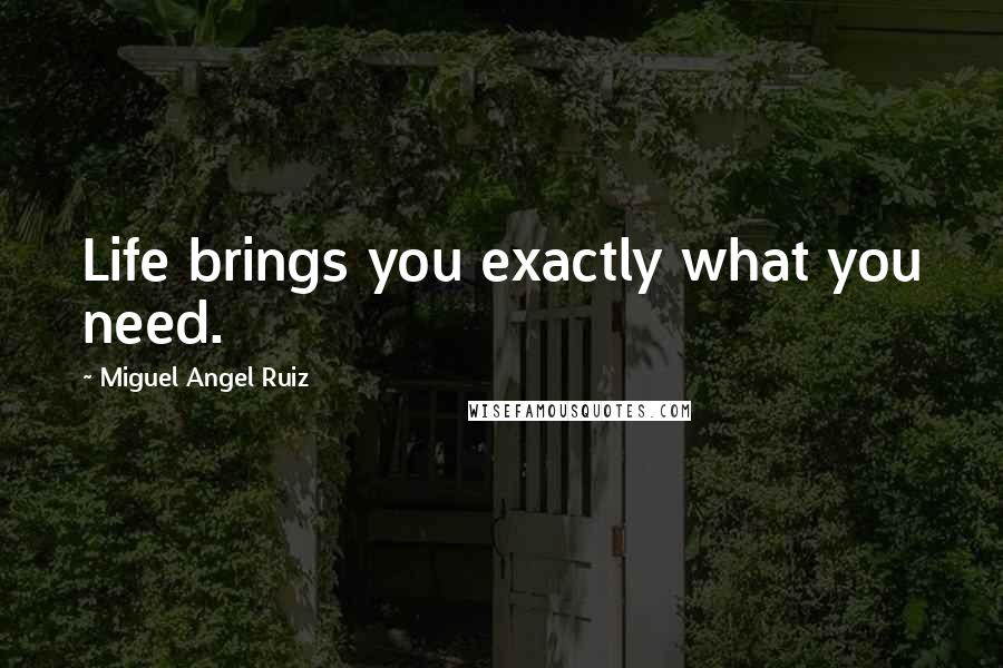 Miguel Angel Ruiz Quotes: Life brings you exactly what you need.