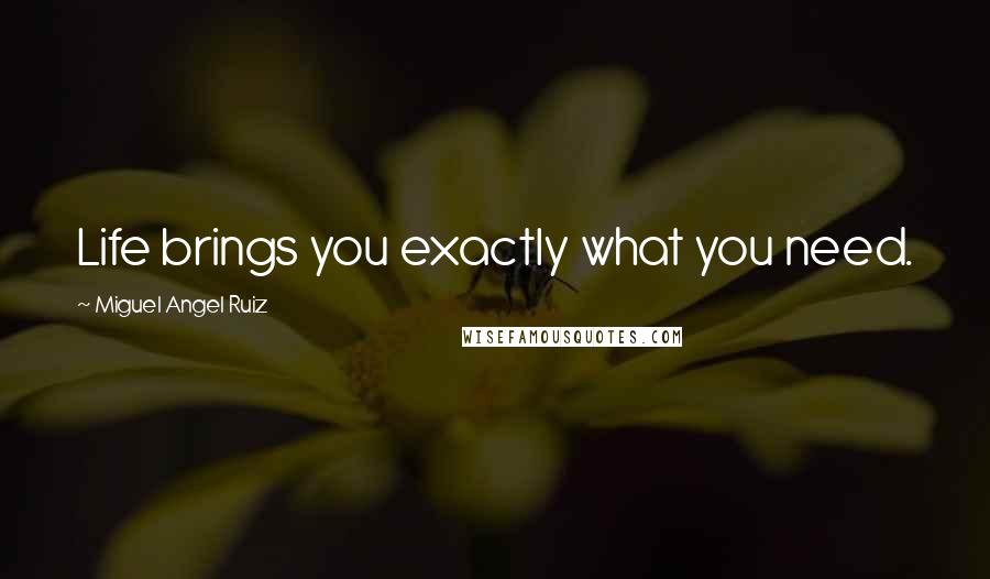 Miguel Angel Ruiz Quotes: Life brings you exactly what you need.