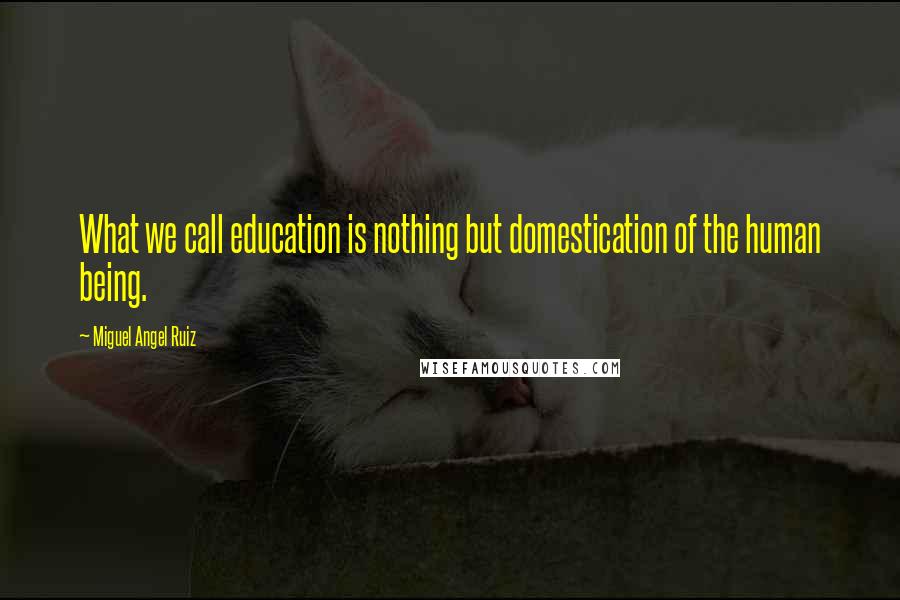 Miguel Angel Ruiz Quotes: What we call education is nothing but domestication of the human being.