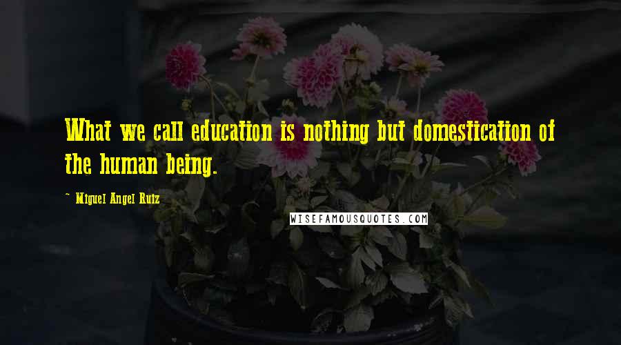 Miguel Angel Ruiz Quotes: What we call education is nothing but domestication of the human being.