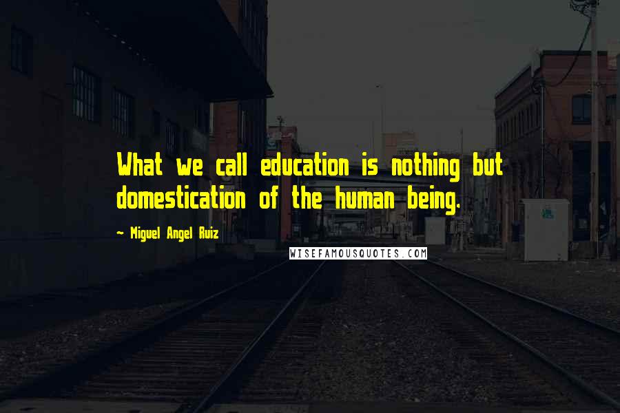 Miguel Angel Ruiz Quotes: What we call education is nothing but domestication of the human being.