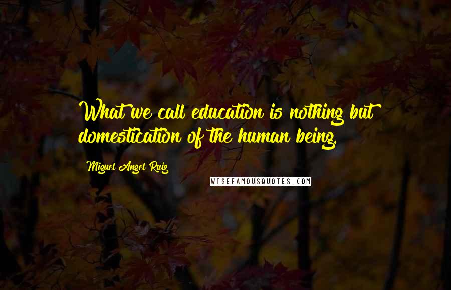 Miguel Angel Ruiz Quotes: What we call education is nothing but domestication of the human being.