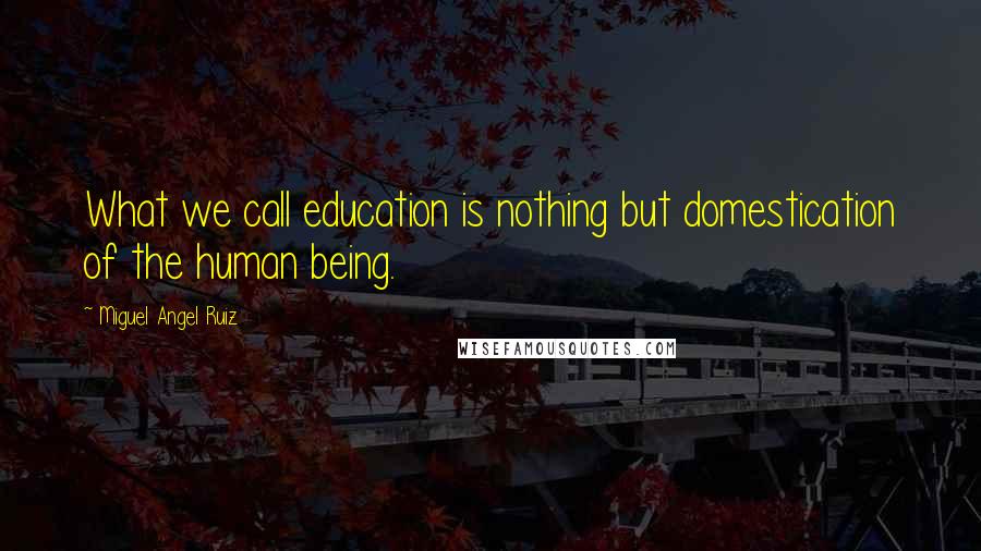 Miguel Angel Ruiz Quotes: What we call education is nothing but domestication of the human being.