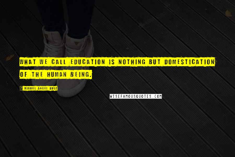 Miguel Angel Ruiz Quotes: What we call education is nothing but domestication of the human being.