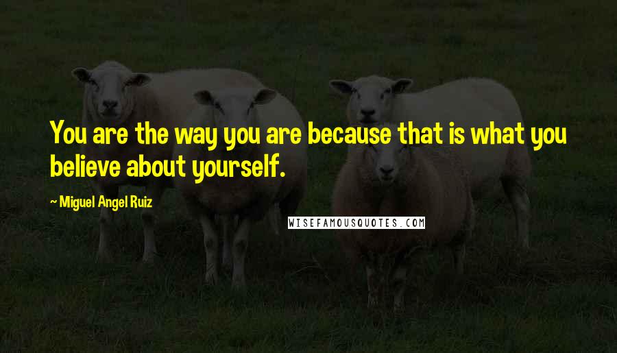 Miguel Angel Ruiz Quotes: You are the way you are because that is what you believe about yourself.