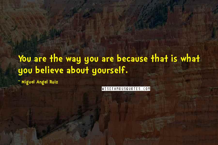 Miguel Angel Ruiz Quotes: You are the way you are because that is what you believe about yourself.