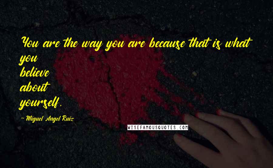 Miguel Angel Ruiz Quotes: You are the way you are because that is what you believe about yourself.