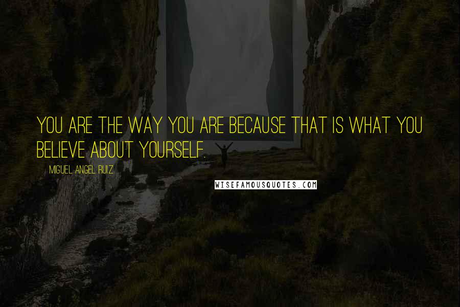 Miguel Angel Ruiz Quotes: You are the way you are because that is what you believe about yourself.