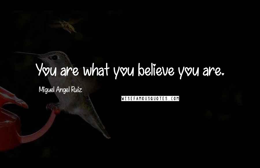 Miguel Angel Ruiz Quotes: You are what you believe you are.