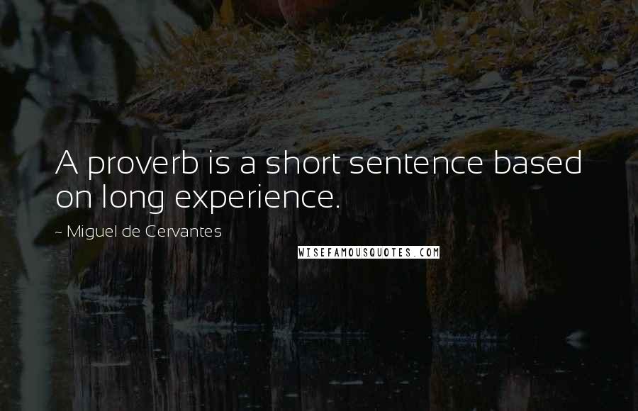 Miguel De Cervantes Quotes: A proverb is a short sentence based on long experience.