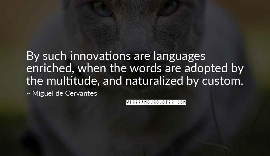 Miguel De Cervantes Quotes: By such innovations are languages enriched, when the words are adopted by the multitude, and naturalized by custom.