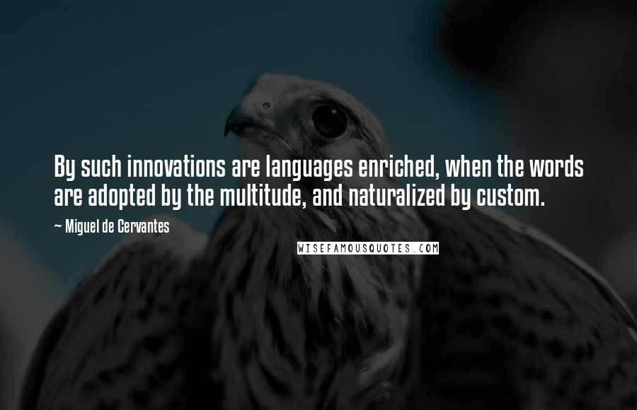 Miguel De Cervantes Quotes: By such innovations are languages enriched, when the words are adopted by the multitude, and naturalized by custom.