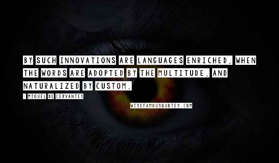 Miguel De Cervantes Quotes: By such innovations are languages enriched, when the words are adopted by the multitude, and naturalized by custom.