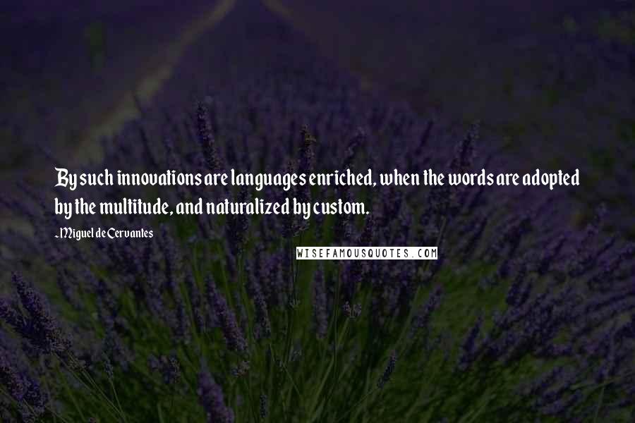 Miguel De Cervantes Quotes: By such innovations are languages enriched, when the words are adopted by the multitude, and naturalized by custom.