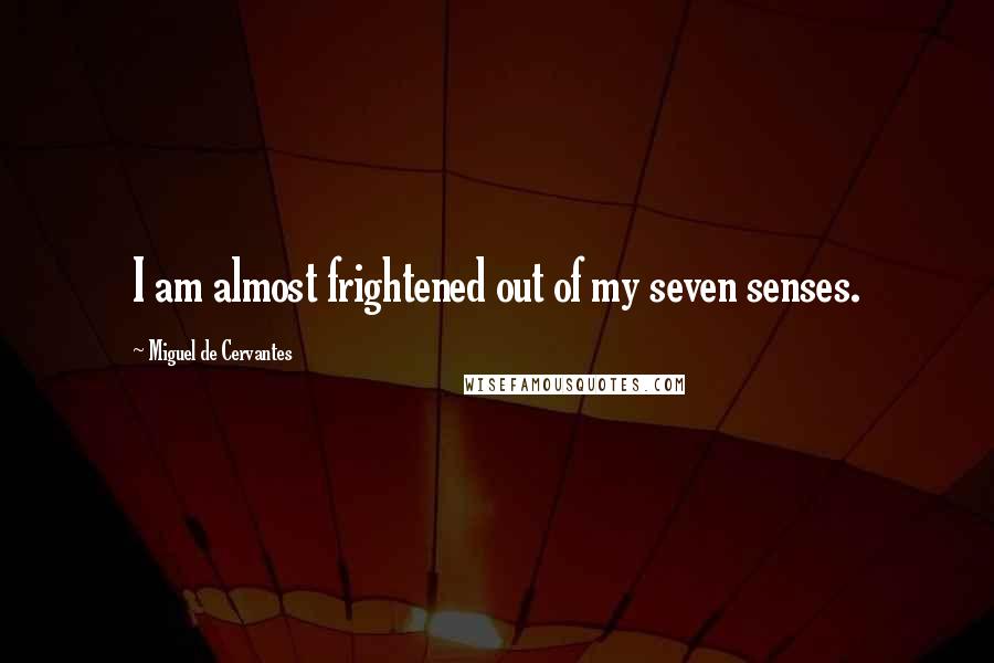 Miguel De Cervantes Quotes: I am almost frightened out of my seven senses.