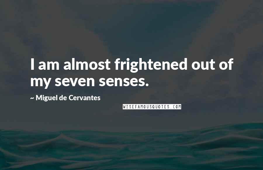 Miguel De Cervantes Quotes: I am almost frightened out of my seven senses.