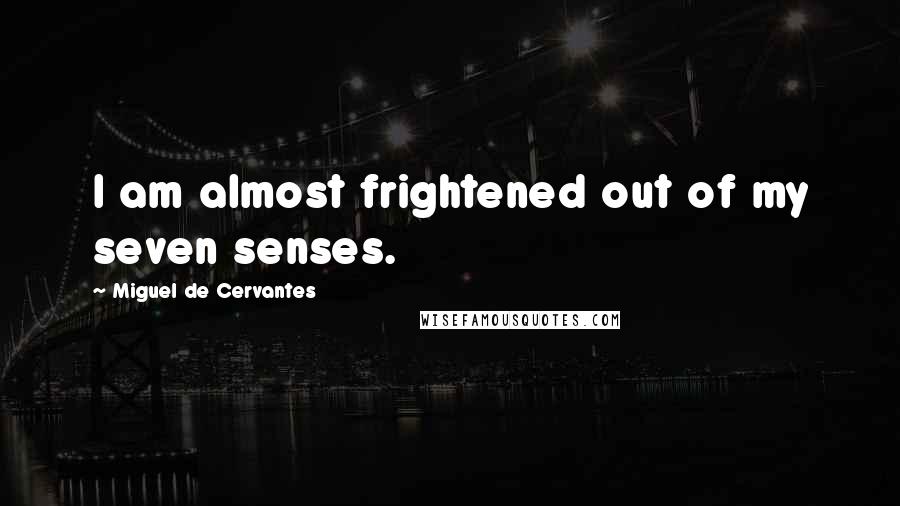 Miguel De Cervantes Quotes: I am almost frightened out of my seven senses.