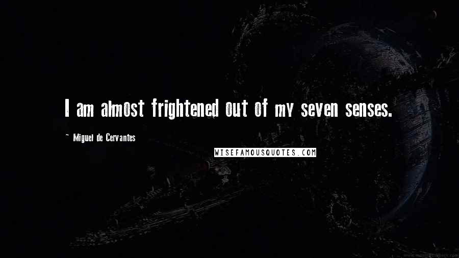 Miguel De Cervantes Quotes: I am almost frightened out of my seven senses.