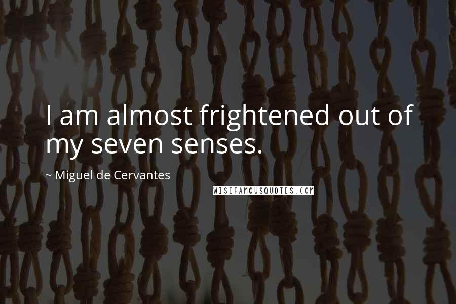 Miguel De Cervantes Quotes: I am almost frightened out of my seven senses.