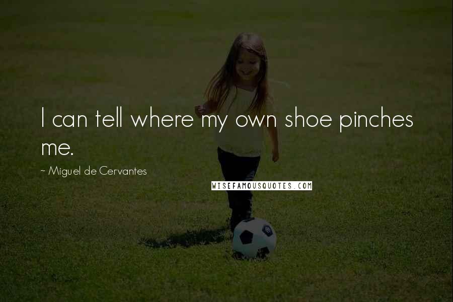 Miguel De Cervantes Quotes: I can tell where my own shoe pinches me.