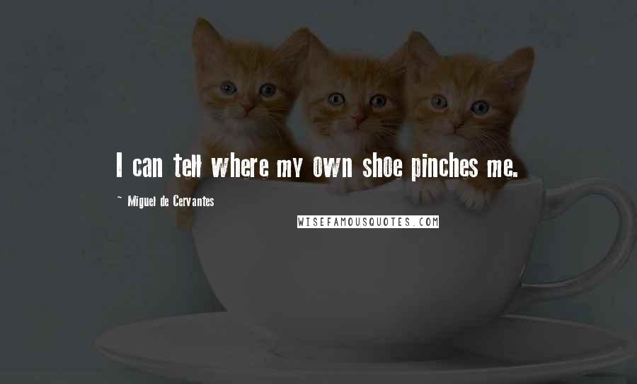 Miguel De Cervantes Quotes: I can tell where my own shoe pinches me.