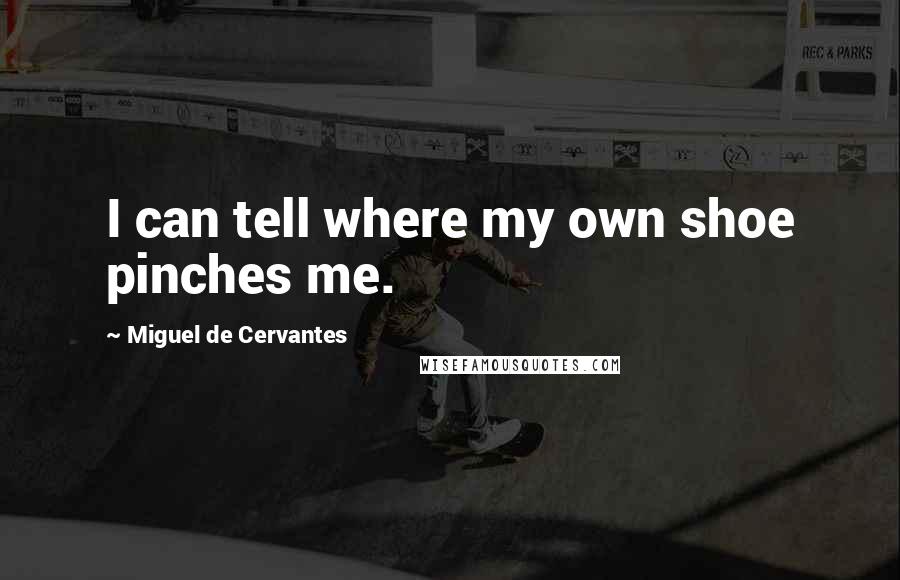 Miguel De Cervantes Quotes: I can tell where my own shoe pinches me.