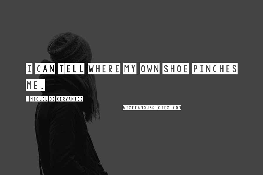 Miguel De Cervantes Quotes: I can tell where my own shoe pinches me.