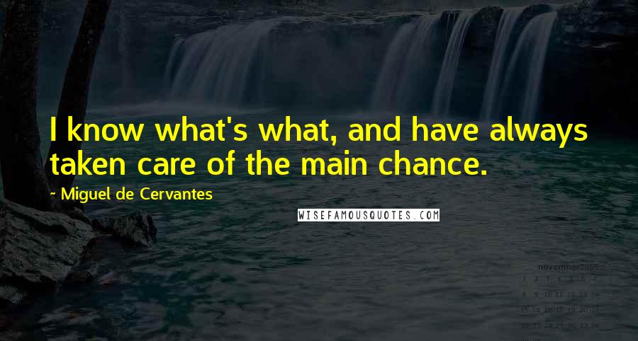 Miguel De Cervantes Quotes: I know what's what, and have always taken care of the main chance.