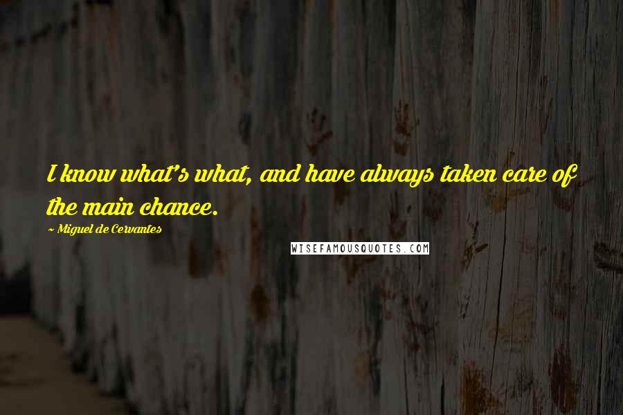 Miguel De Cervantes Quotes: I know what's what, and have always taken care of the main chance.