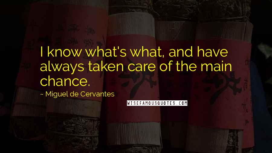 Miguel De Cervantes Quotes: I know what's what, and have always taken care of the main chance.