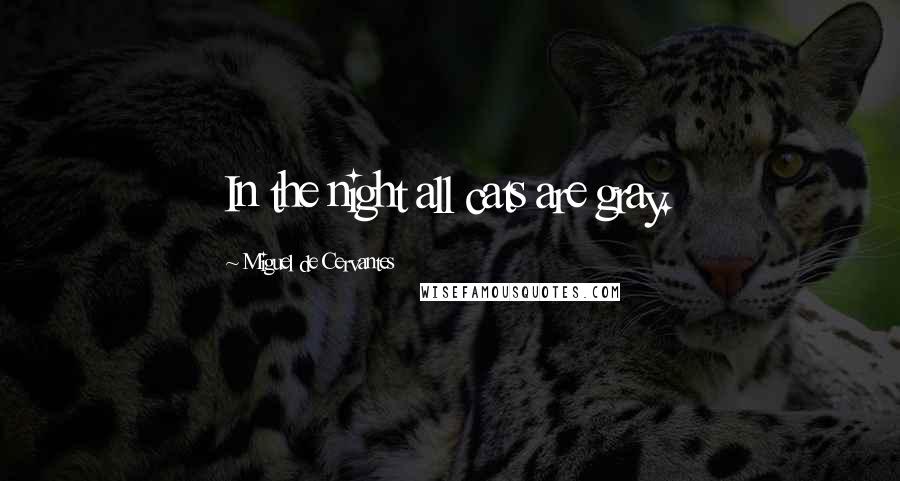 Miguel De Cervantes Quotes: In the night all cats are gray.