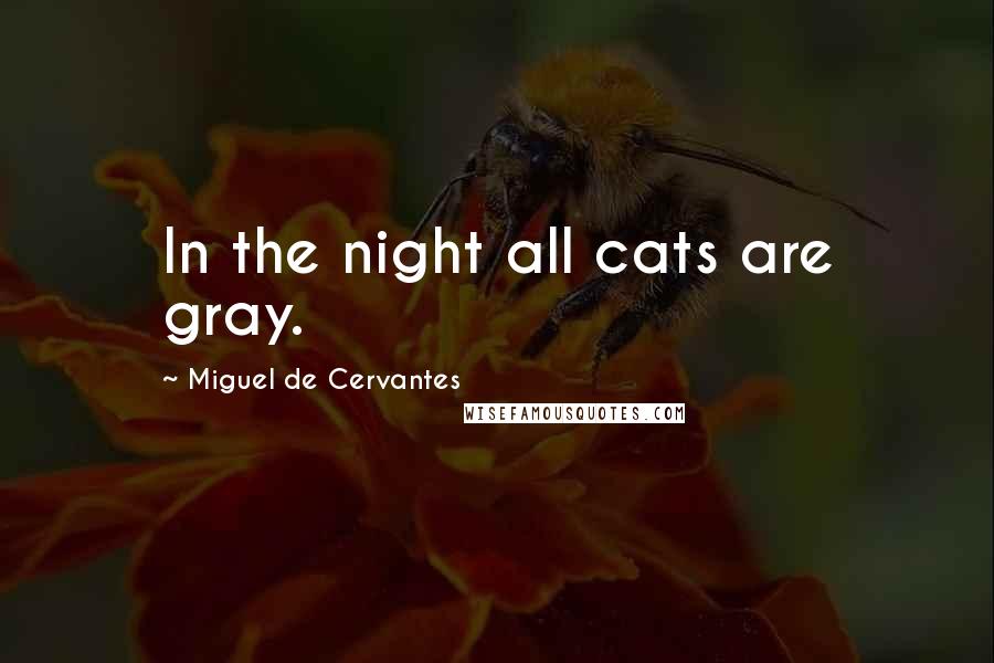 Miguel De Cervantes Quotes: In the night all cats are gray.