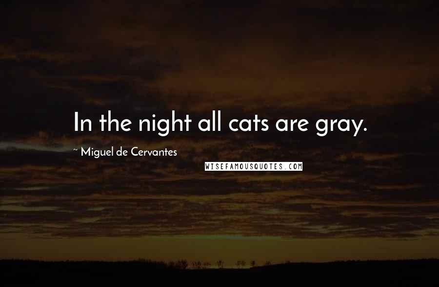 Miguel De Cervantes Quotes: In the night all cats are gray.