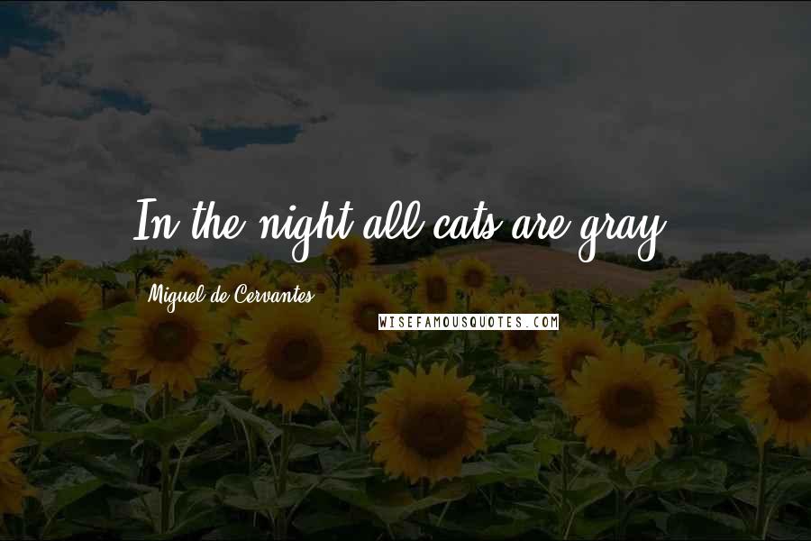 Miguel De Cervantes Quotes: In the night all cats are gray.