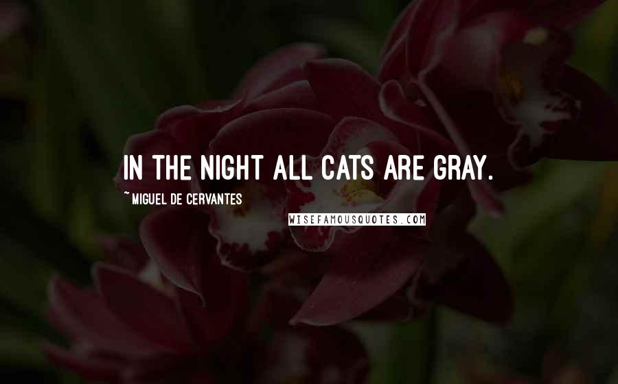 Miguel De Cervantes Quotes: In the night all cats are gray.