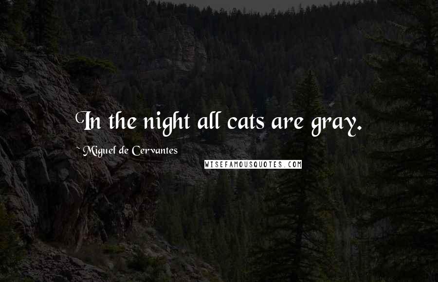 Miguel De Cervantes Quotes: In the night all cats are gray.